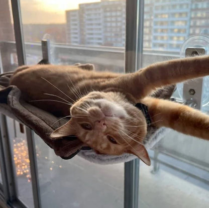 Katthängmatta™ - Där avkoppling möter underhållning