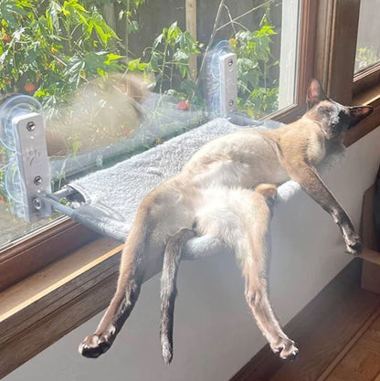 Katthängmatta™ - Där avkoppling möter underhållning