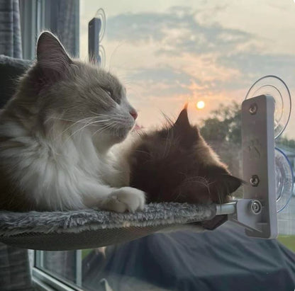 Katthängmatta™ - Där avkoppling möter underhållning