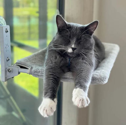 Katthängmatta™ - Där avkoppling möter underhållning