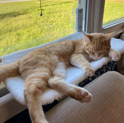 Katthängmatta™ - Där avkoppling möter underhållning